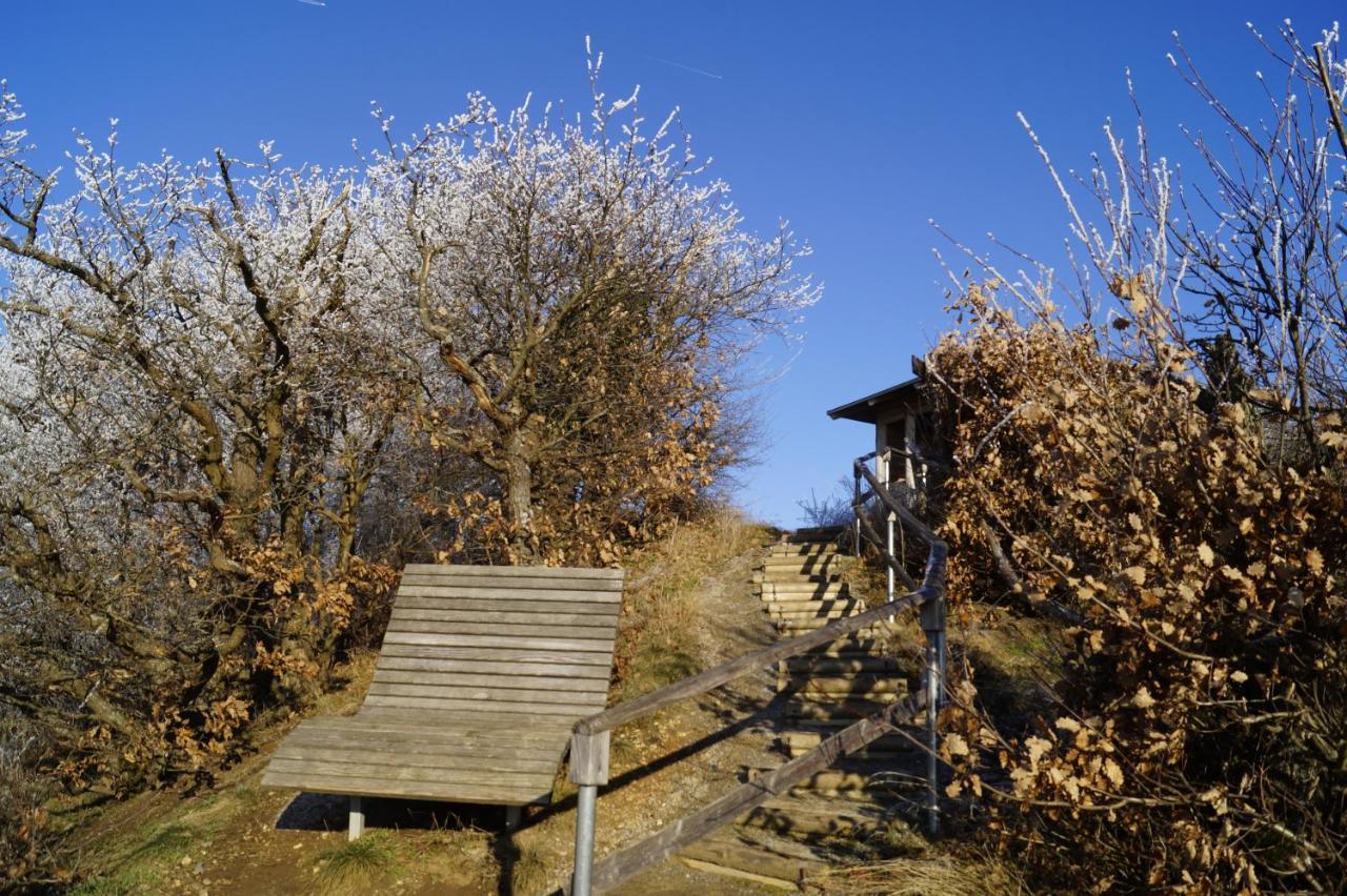 Niederfell Ferienwohnung Mosel מראה חיצוני תמונה